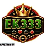 EK333 Game
