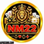 NM22 Game